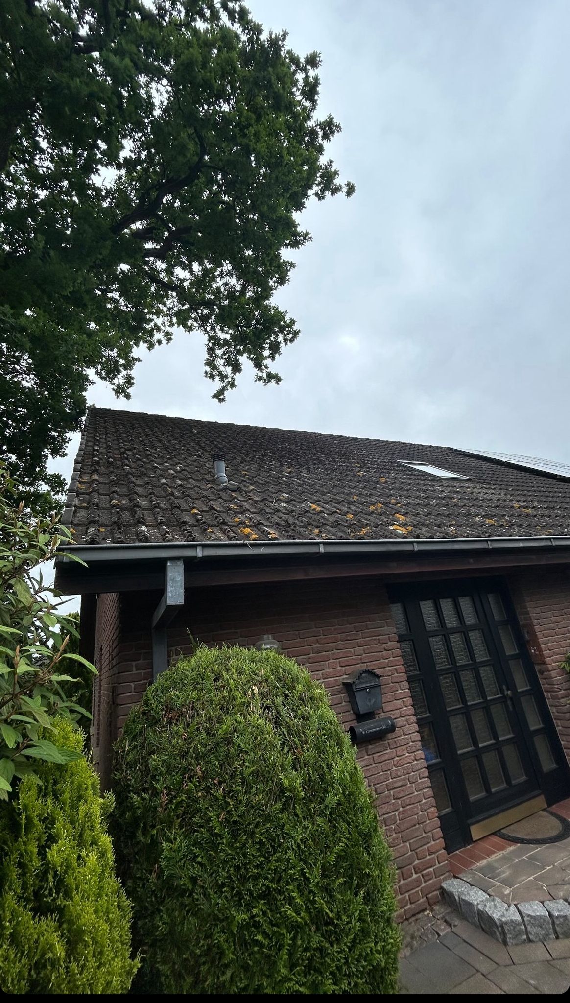 Dach vor der Reinigung mit Moos- und Algenbewuchs — Klimek GaLaBau Pforzheim