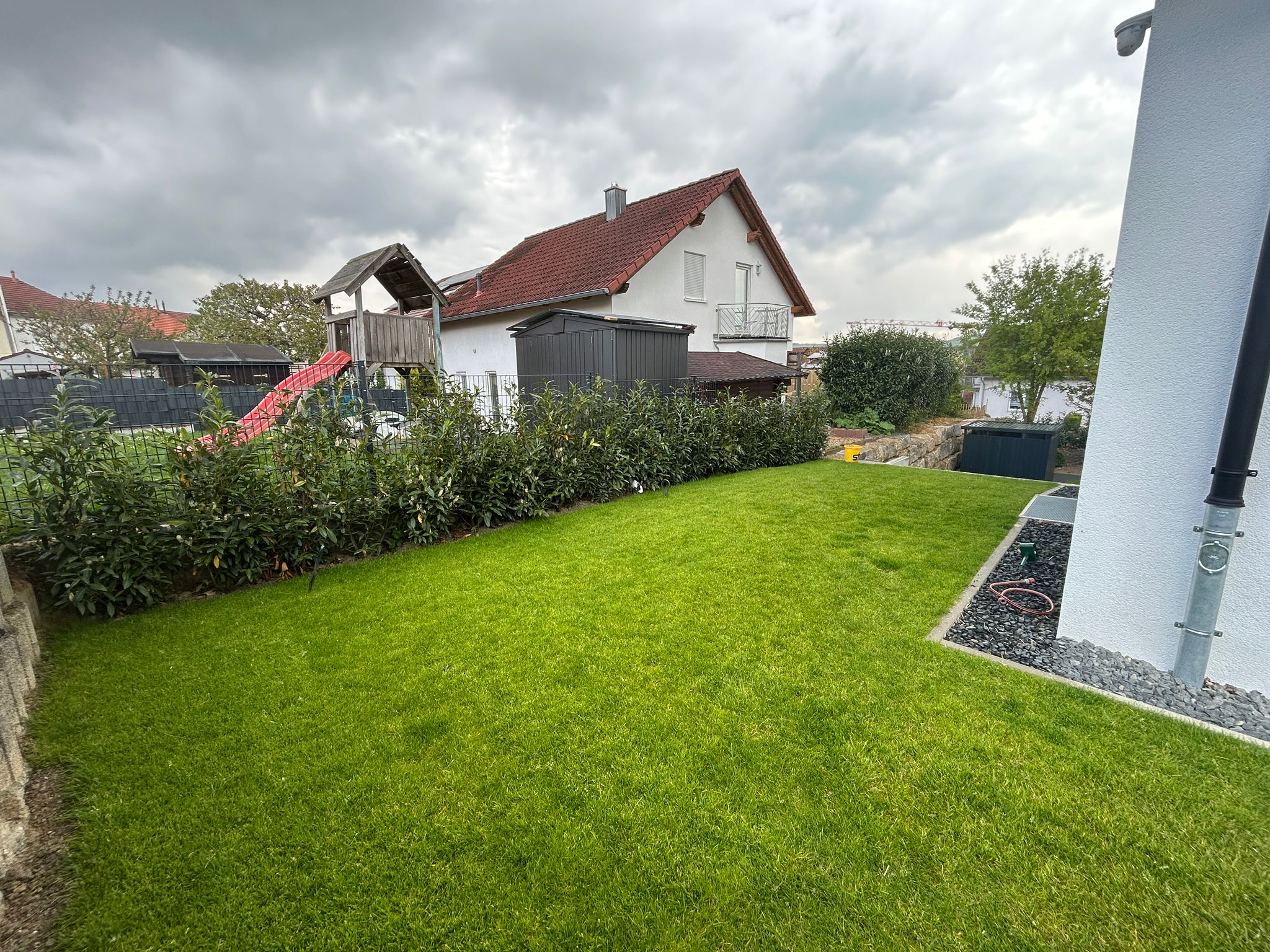 Grossflächiger Rollrasen mit Hecke — Klimek GaLaBau Pforzheim