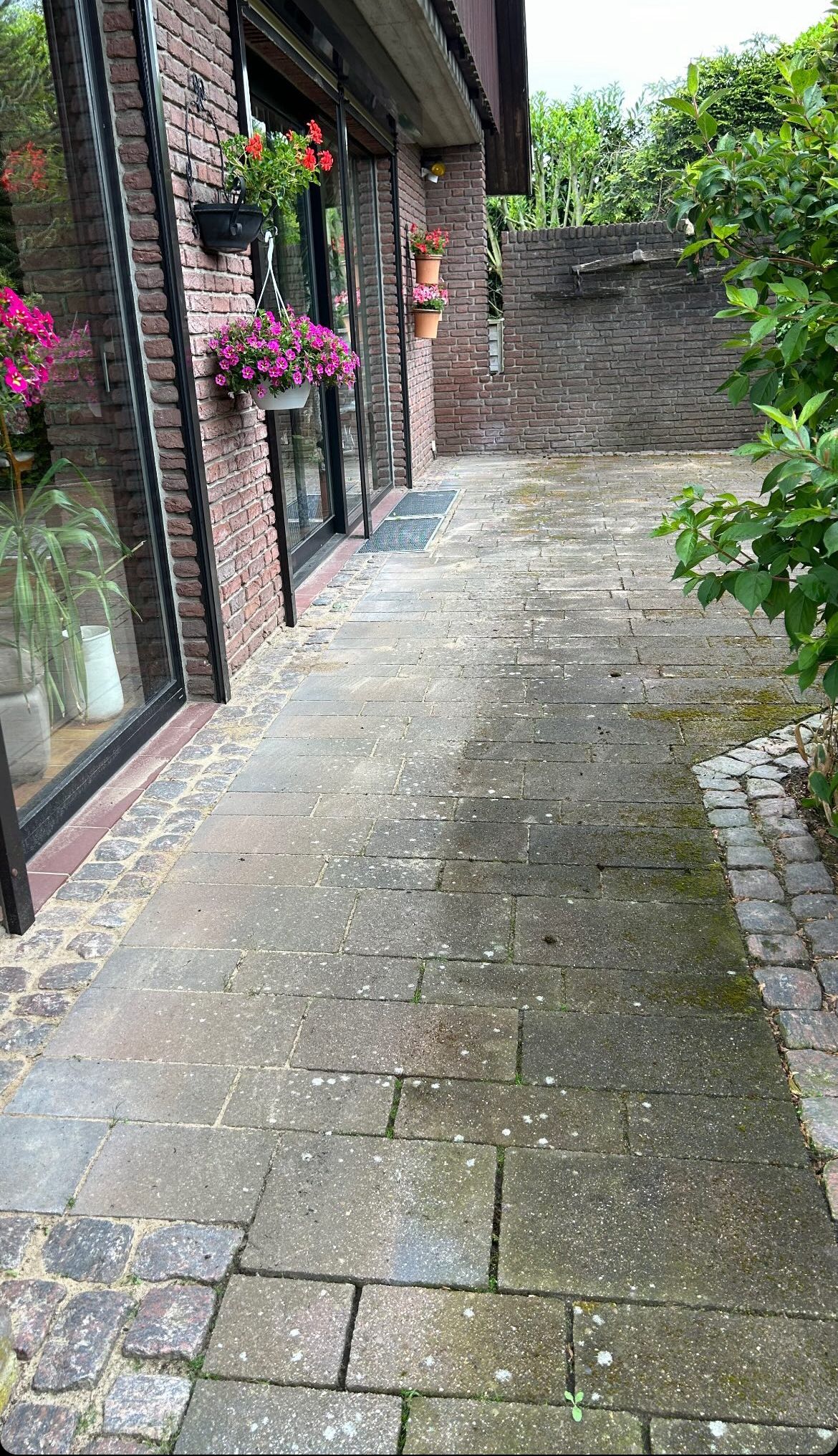 Terrasse seitlich nach Reinigung — Klimek GaLaBau Pforzheim