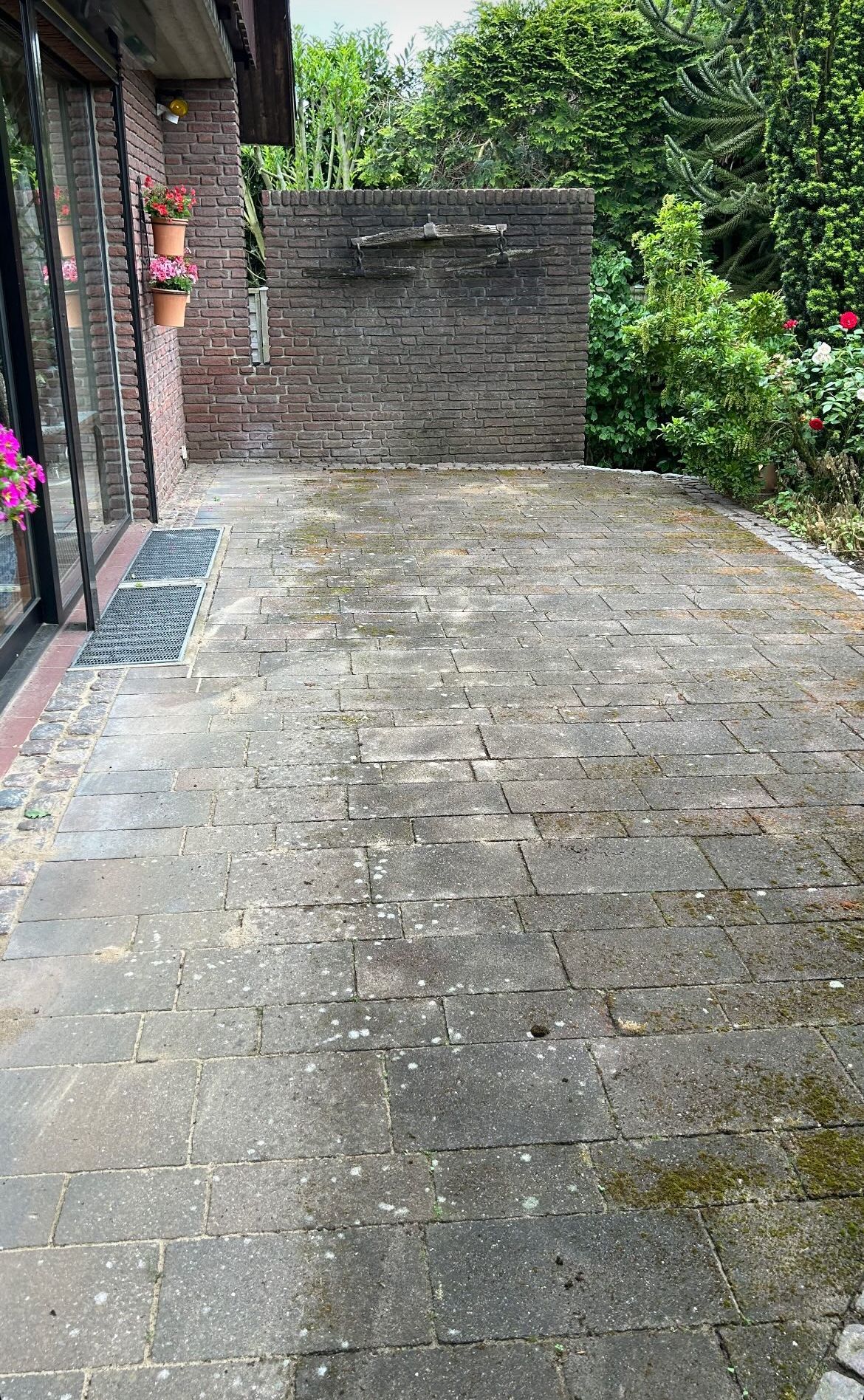 Pflasterterrasse vor der Reinigung — Klimek GaLaBau Pforzheim