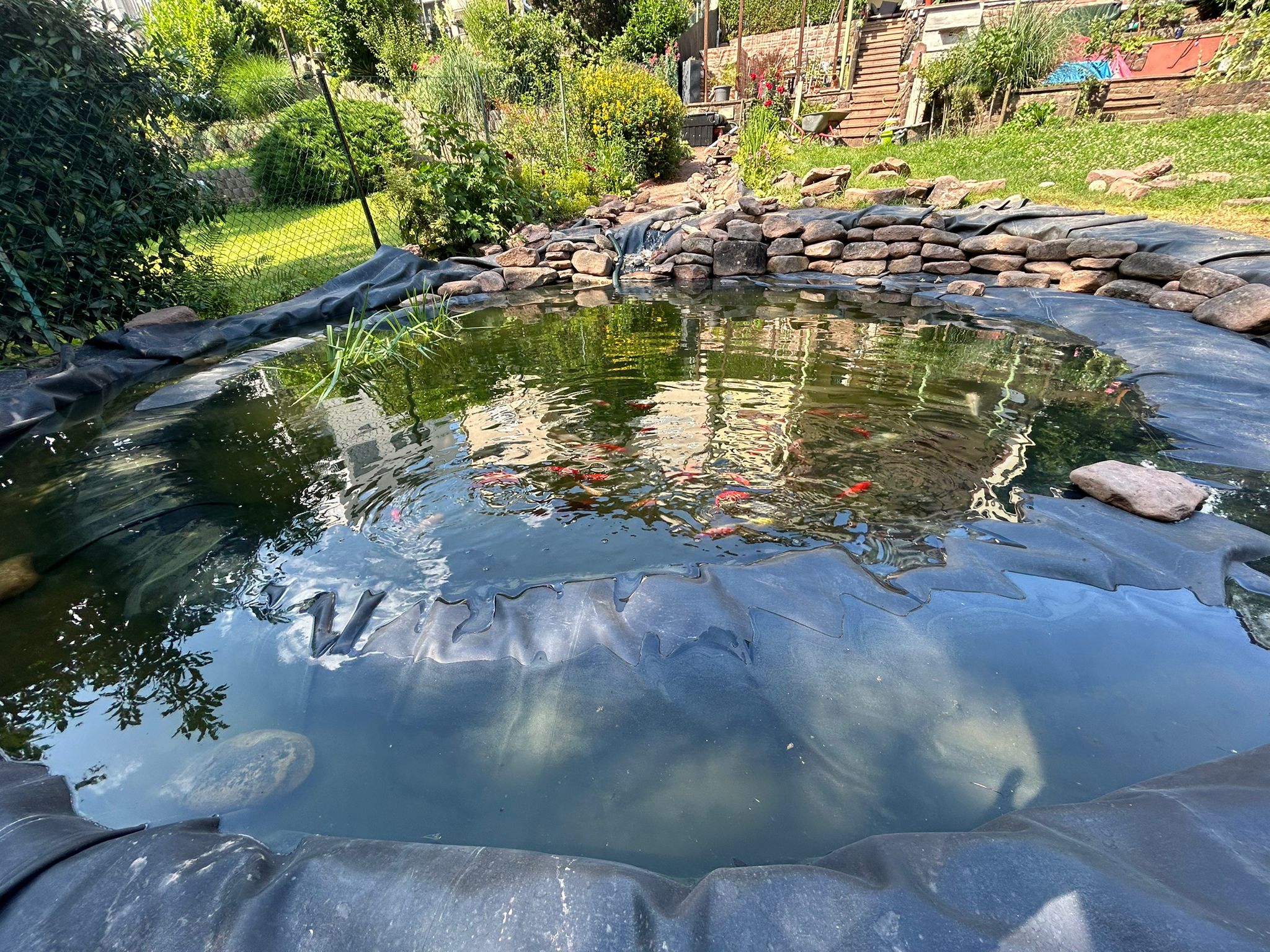 Grosser Gartenteich mit Wasserfall — Klimek GaLaBau Pforzheim